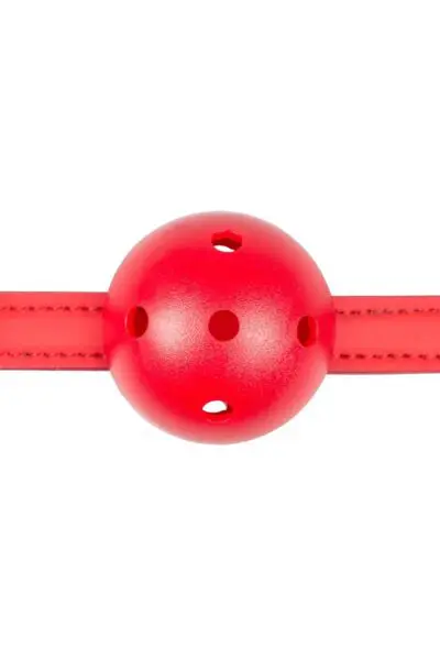 Gagged Ball Rouge - EasyToys Fetish Collection