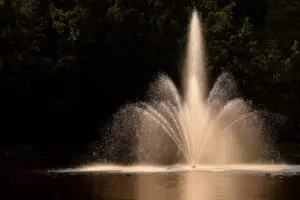 Découvrez tout ce que vous devez savoir sur le squirting : techniques, conseils et sextoys recommandés pour atteindre ce plaisir intense.