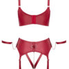 Ensemble Lingerie BDSM Bordeaux - Cottelli Bondage - Boutique BDSM
